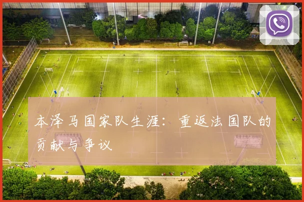 本泽马国家队生涯:重返法国队的贡献与争议